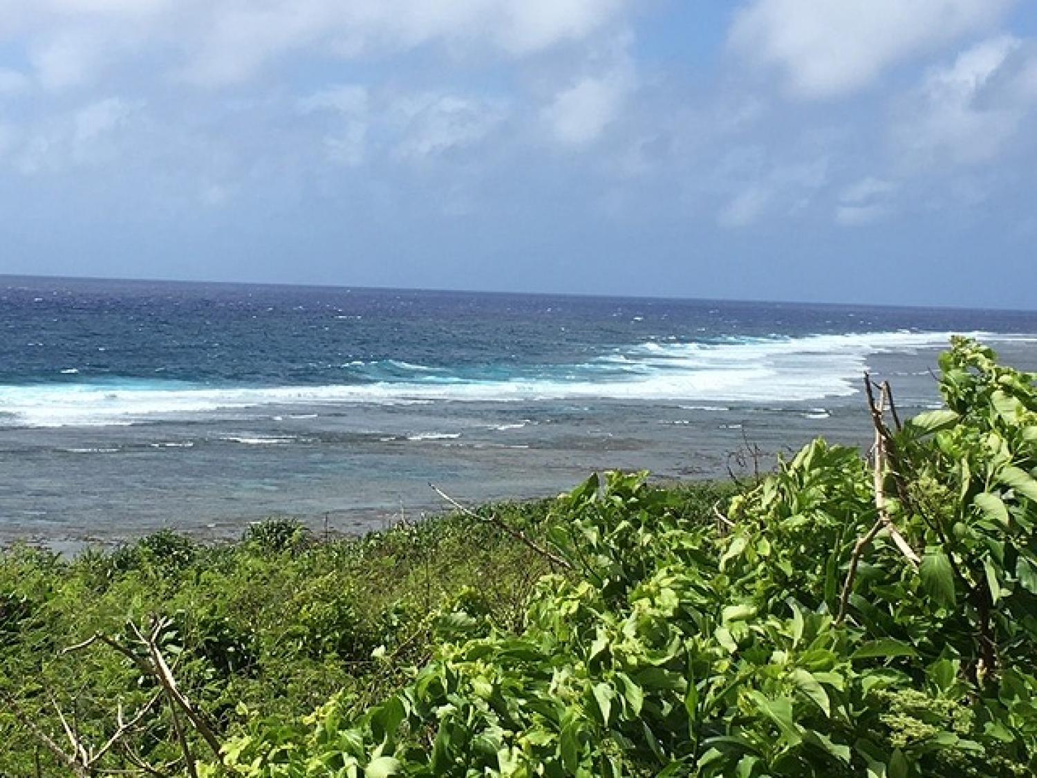 Sep.16 Suicide Point wave Information 2
