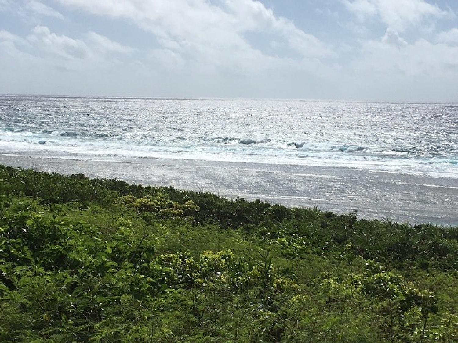 Sep.16 Suicide Point wave Information 3