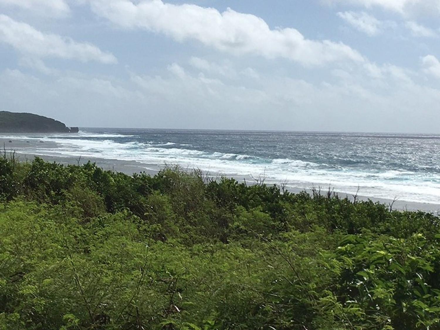 Sep.16 Suicide Point wave Information 4
