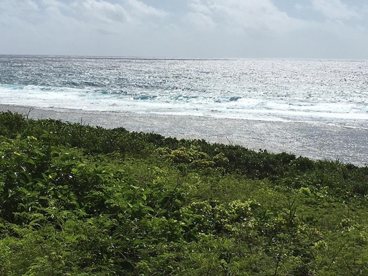 Sep.16 Suicide Point wave Information 5