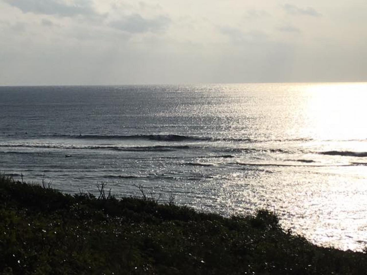 Dec.30 Suicide Point wave information 1
