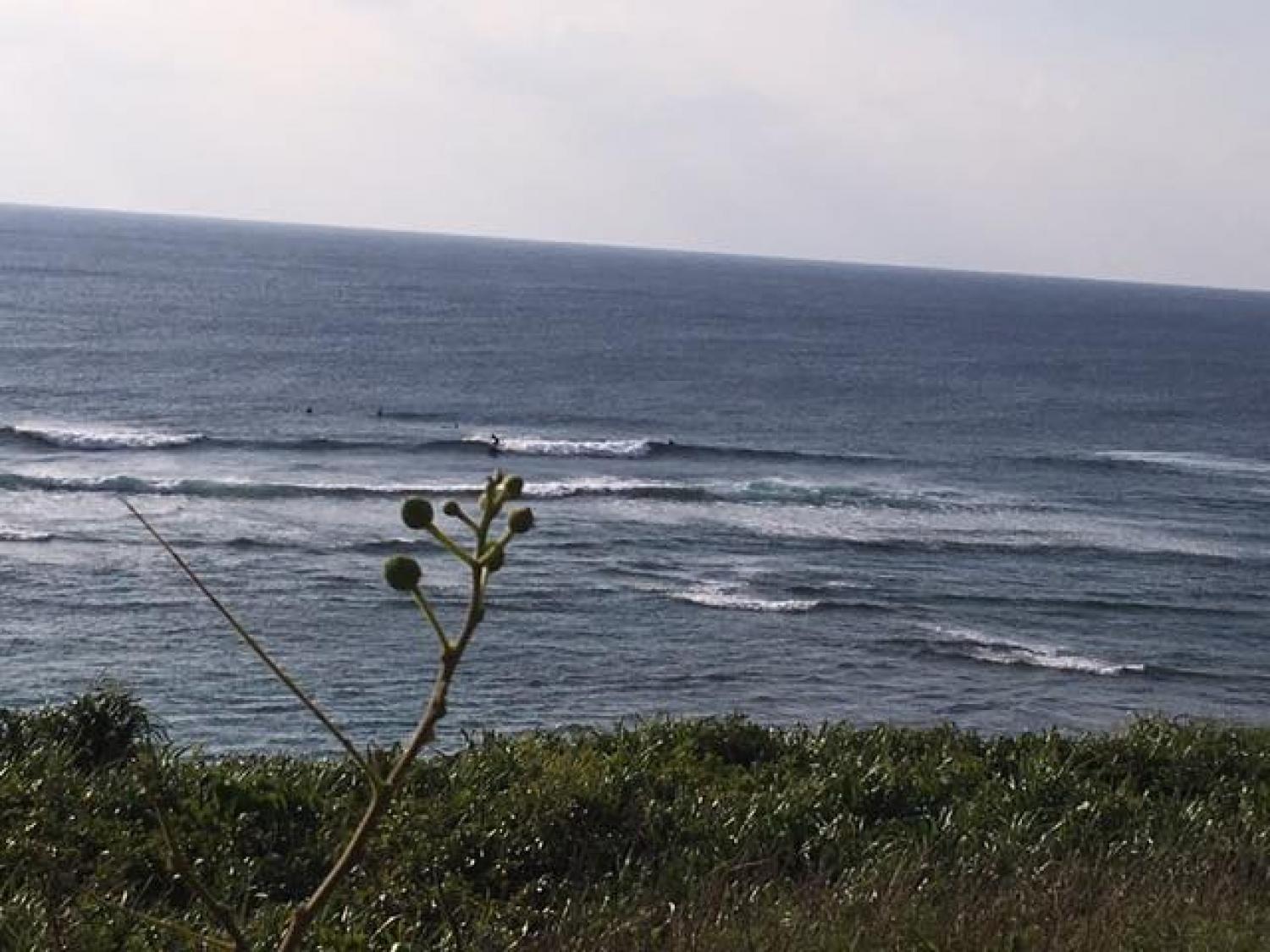Dec.30 Suicide Point wave information 4