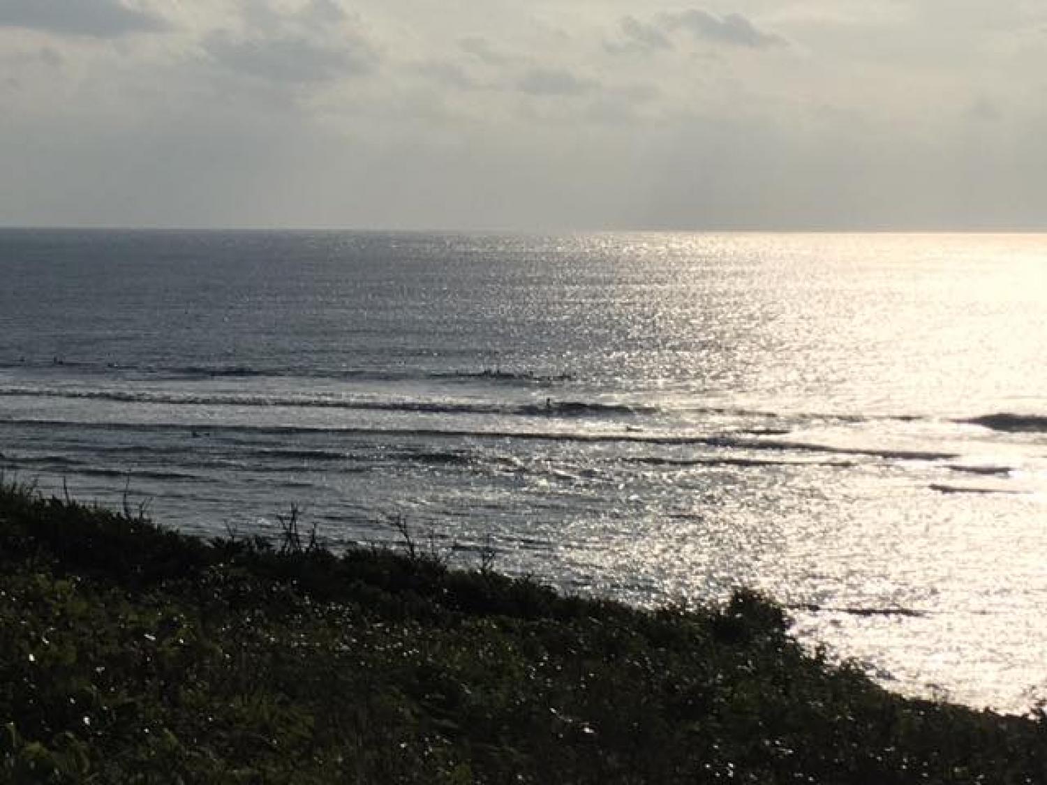 Dec.30 Suicide Point wave information 5