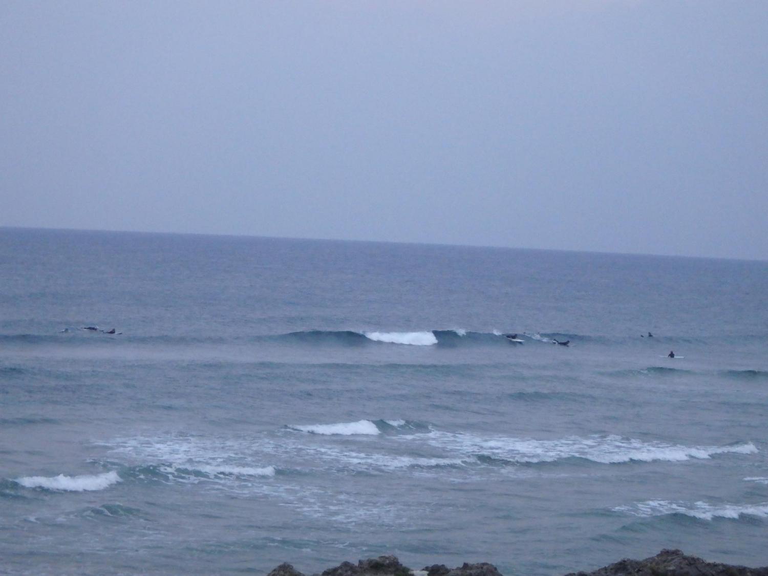 Jan.14 Suicide Point wave information 3