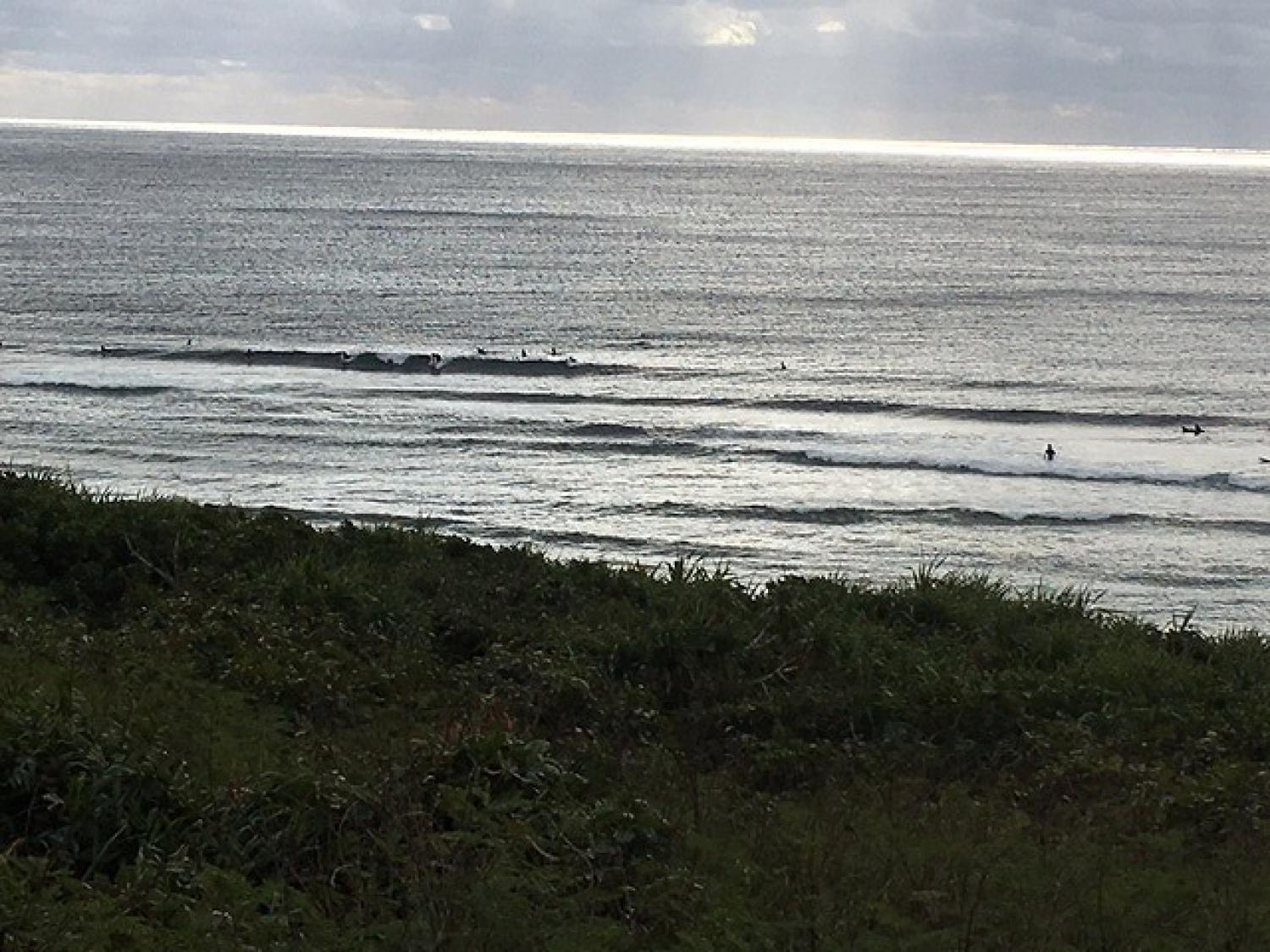 Jan.15 Suicide Point wave information 1