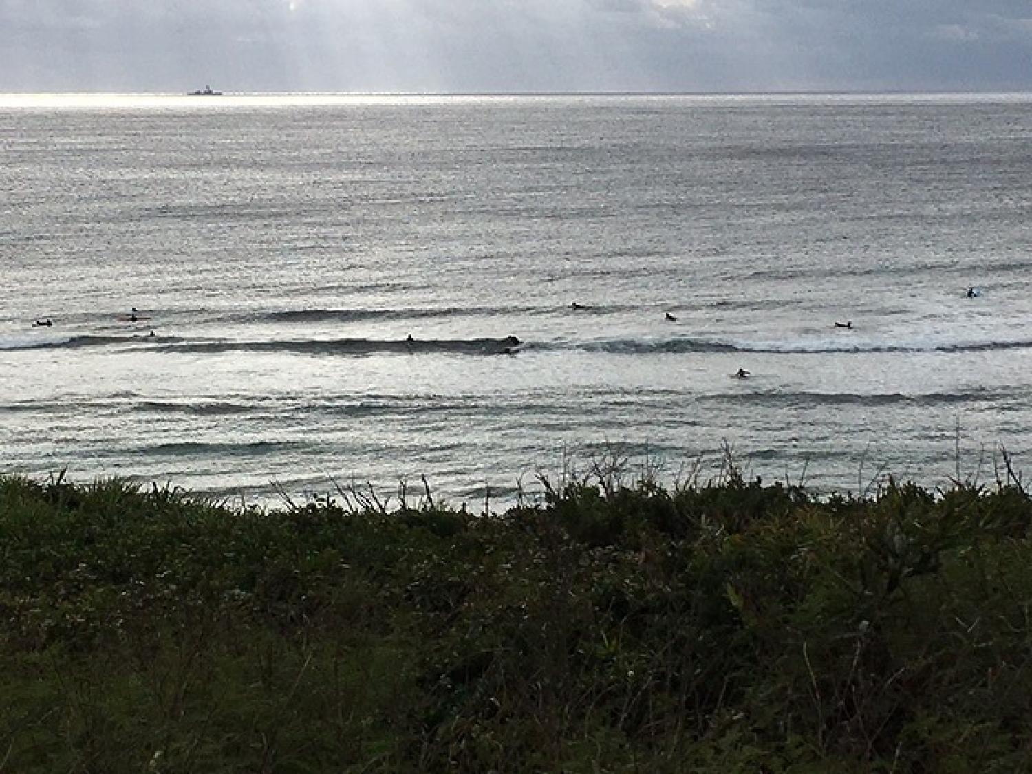 Jan.15 Suicide Point wave information 2
