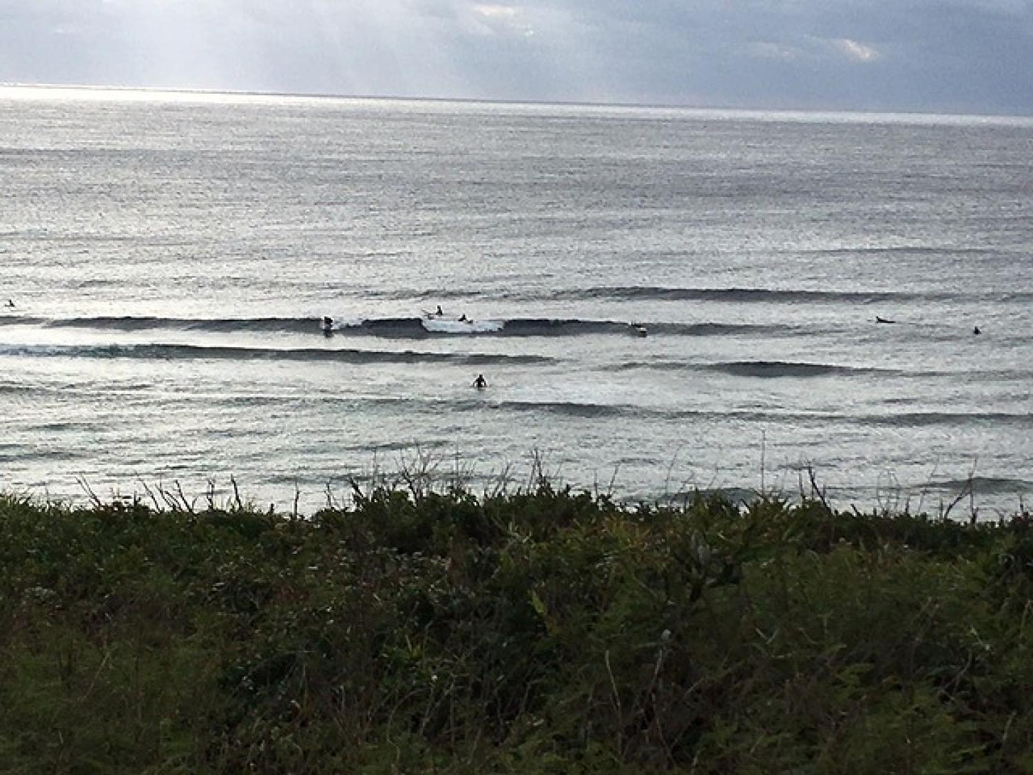 Jan.15 Suicide Point wave information 3