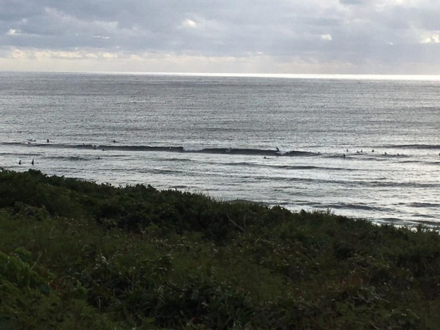 Jan.15 Suicide Point wave information 5