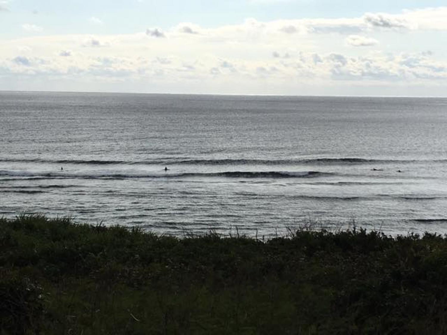 Jan.16 Suicide Point wave information 2
