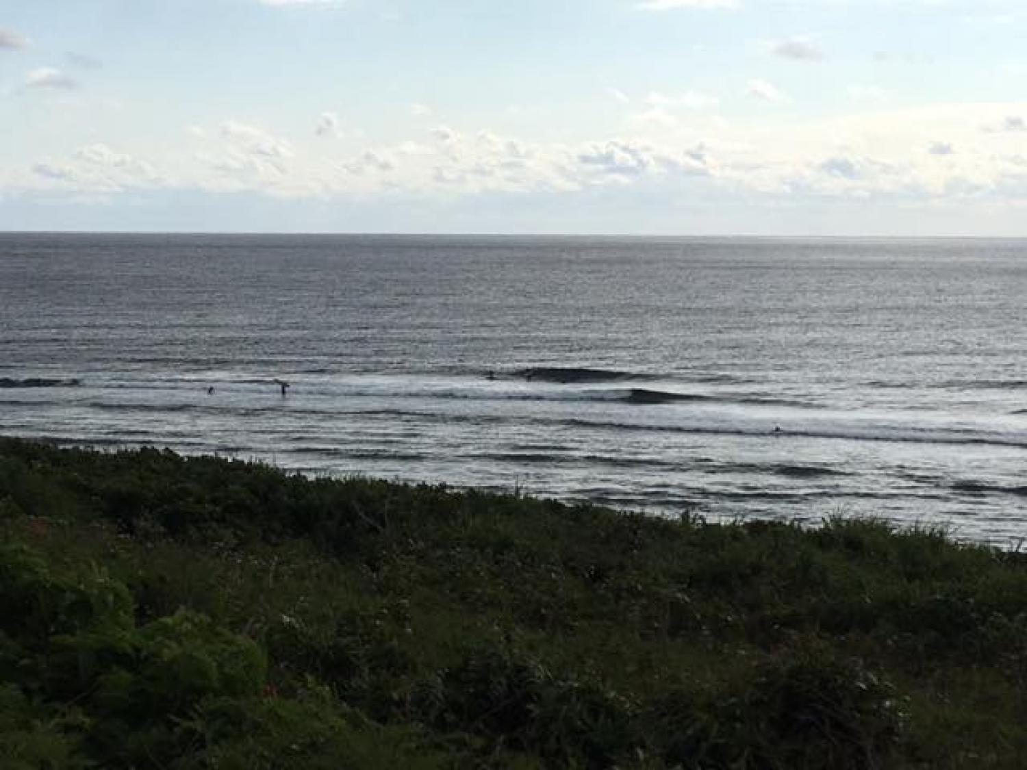 Jan.16 Suicide Point wave information 3