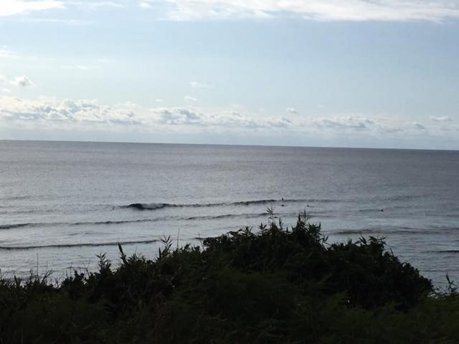 Jan.16 Suicide Point wave information 4