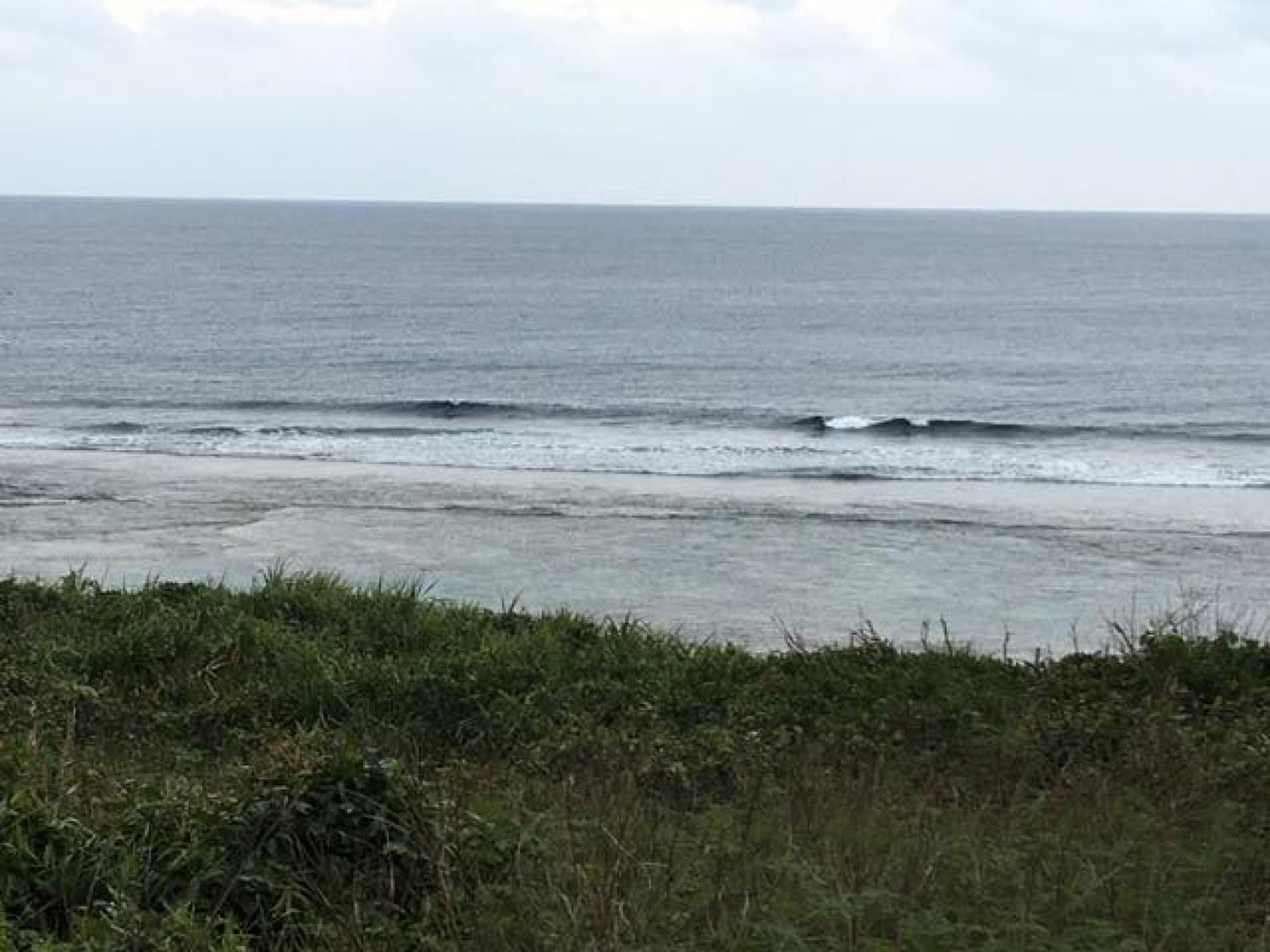 Jan.21 Suicide Point wave information 4