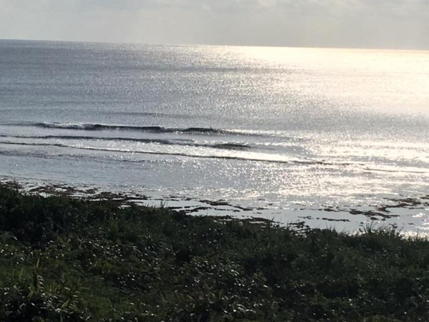 Jan.22 Suicide Point wave information 2