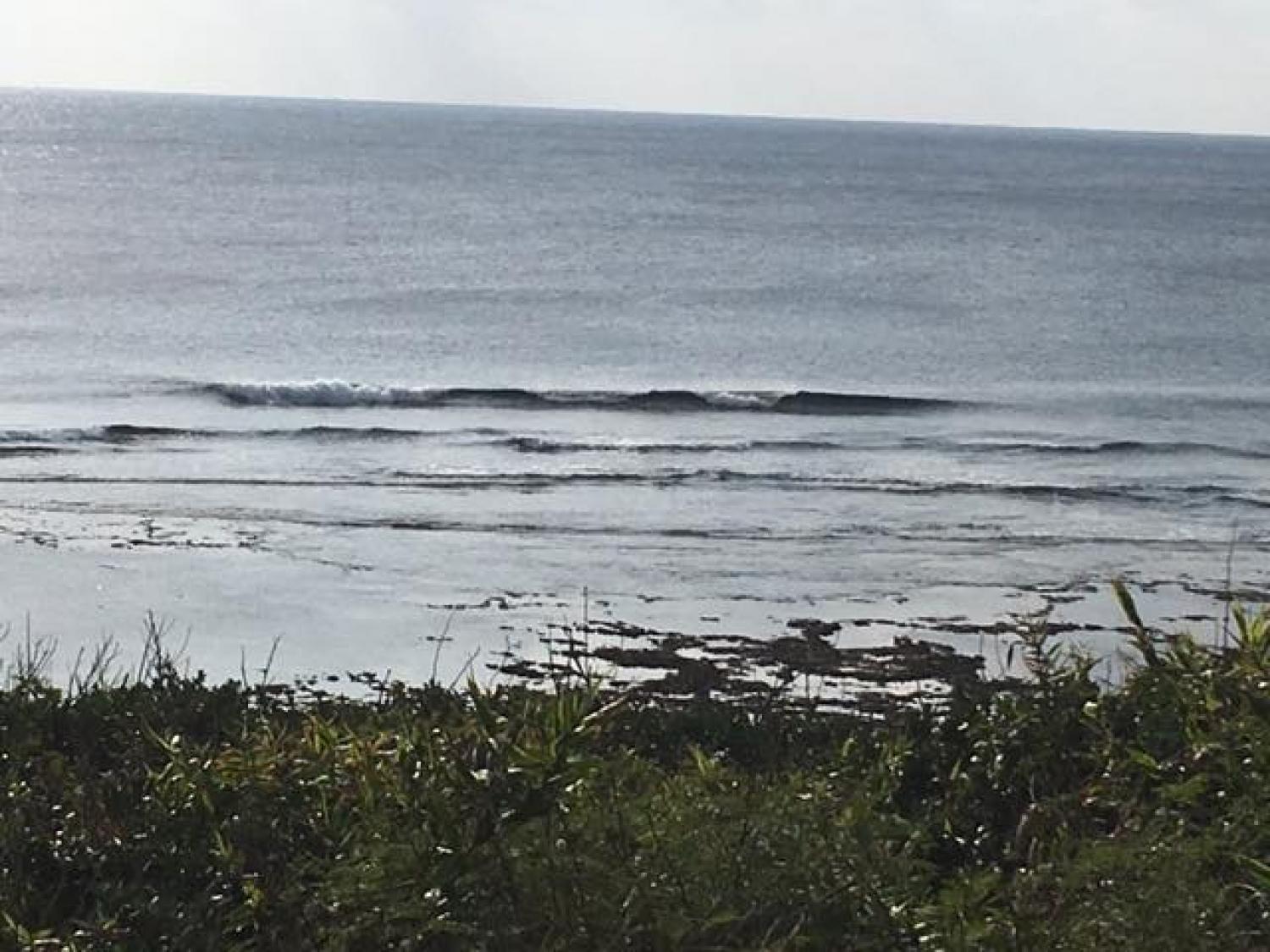 Jan.22 Suicide Point wave information 3