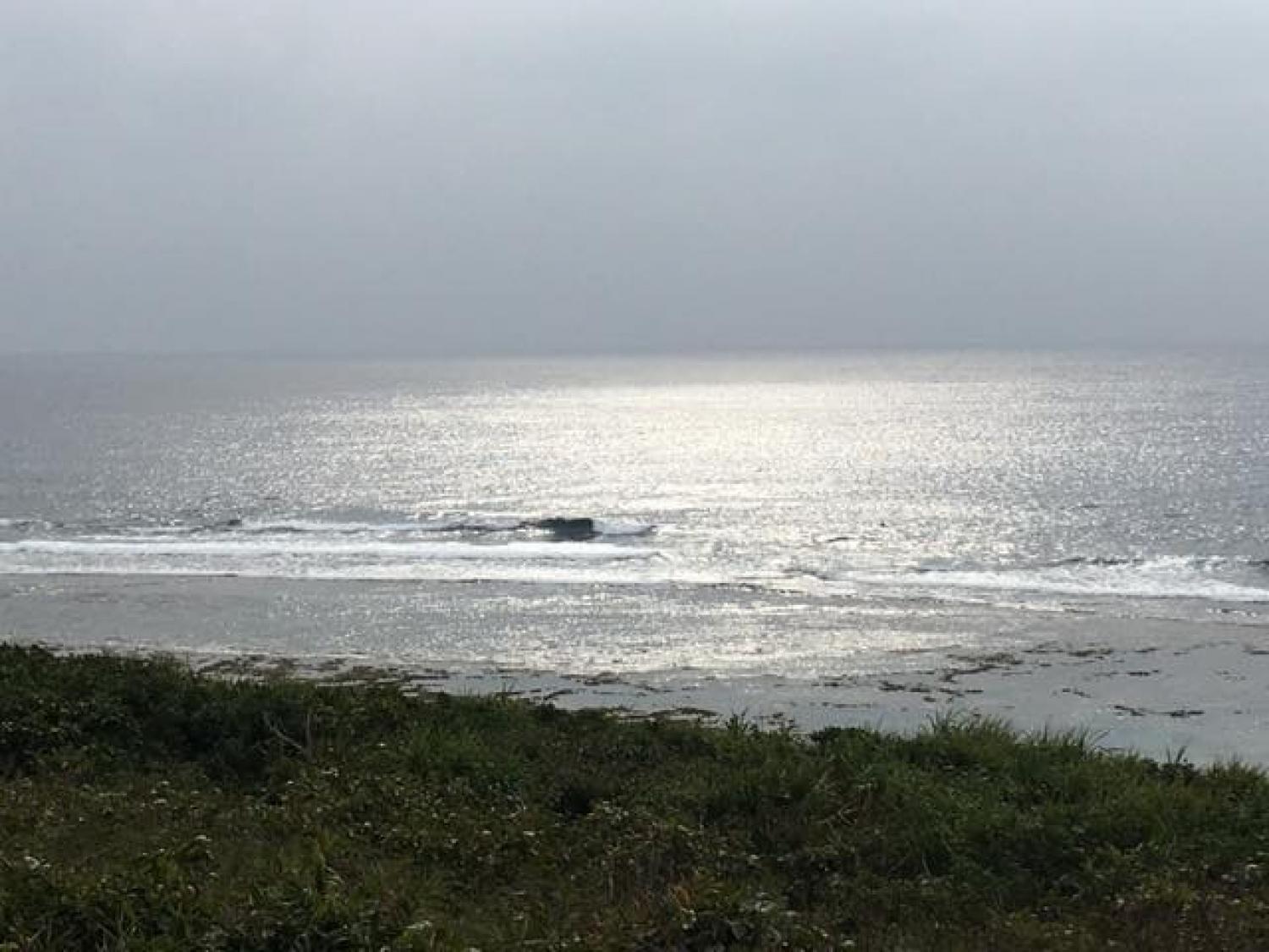 Feb 6 suicide point wave information 3