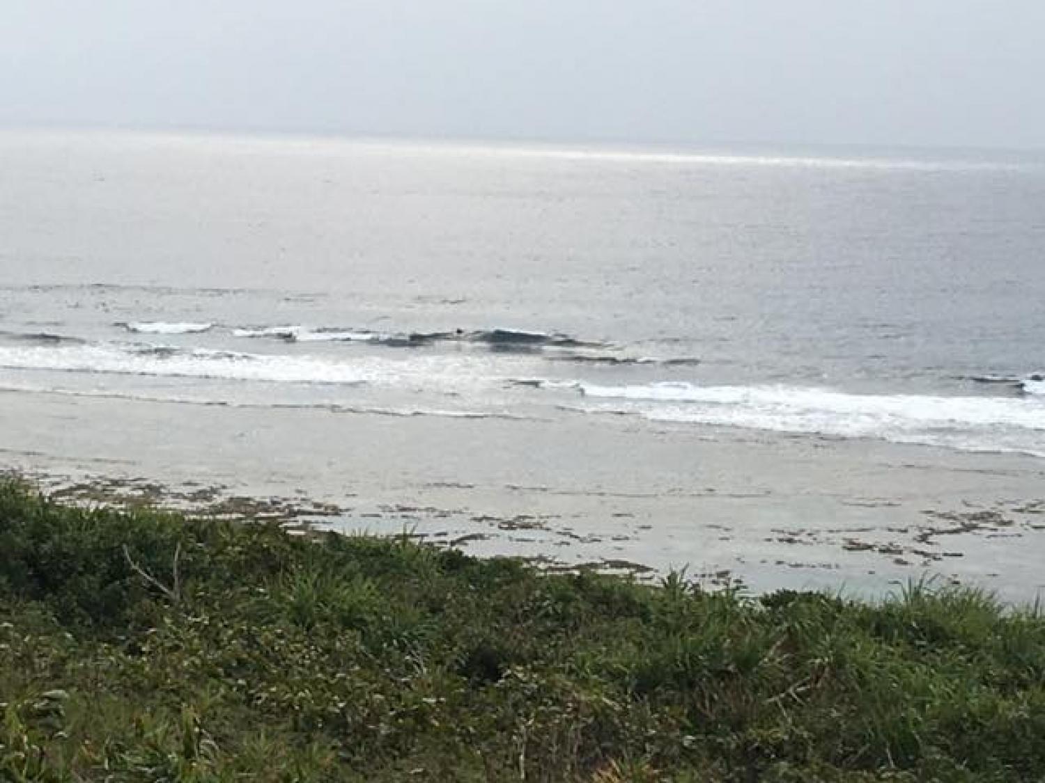 Feb 6 suicide point wave information 4