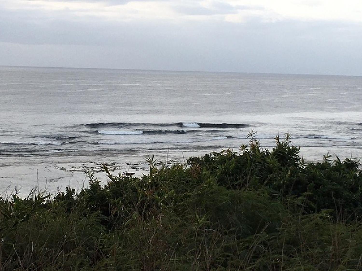 Feb 7 suicide point wave information 5