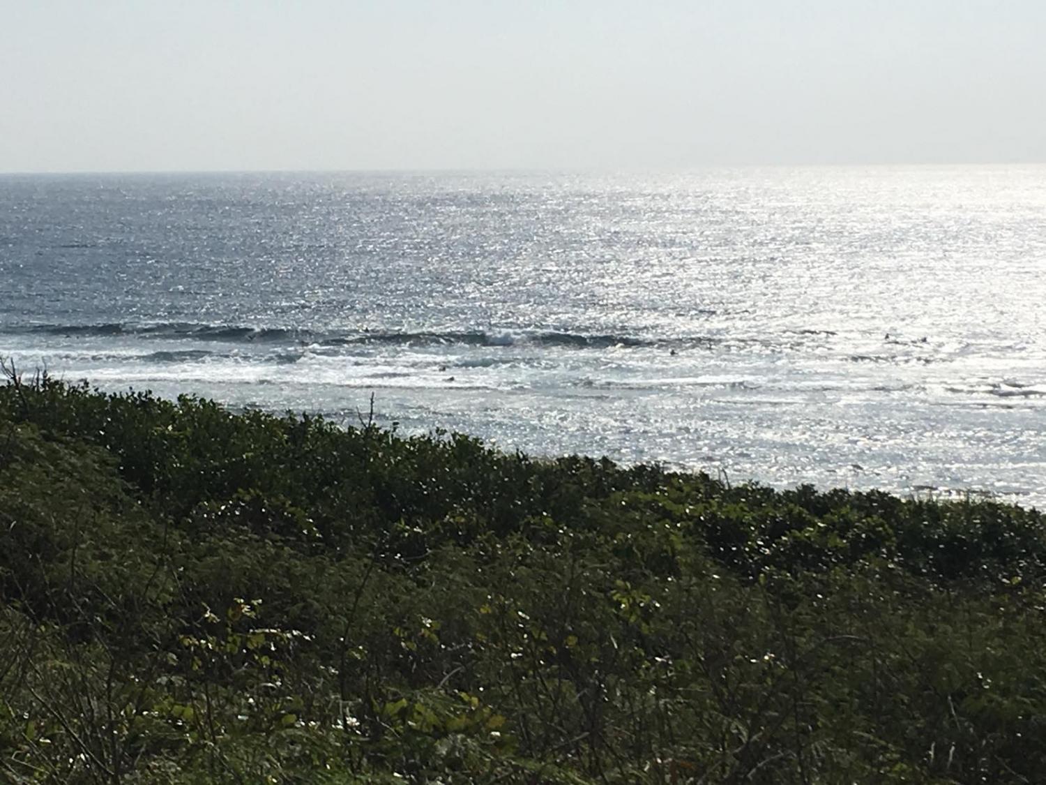 Feb 19 suicide point wave information 4