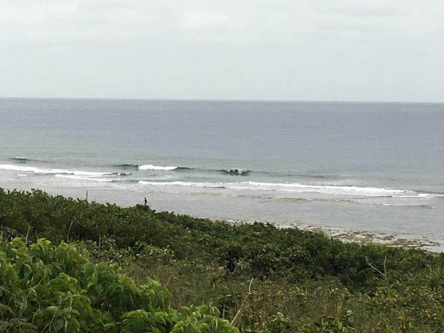 Feb 24 suicide point wave information 3