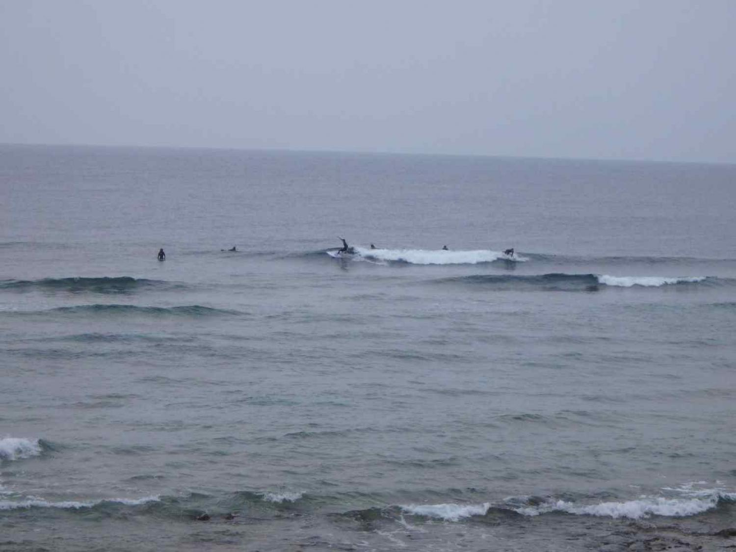 feb 28 suicide point wave information 2