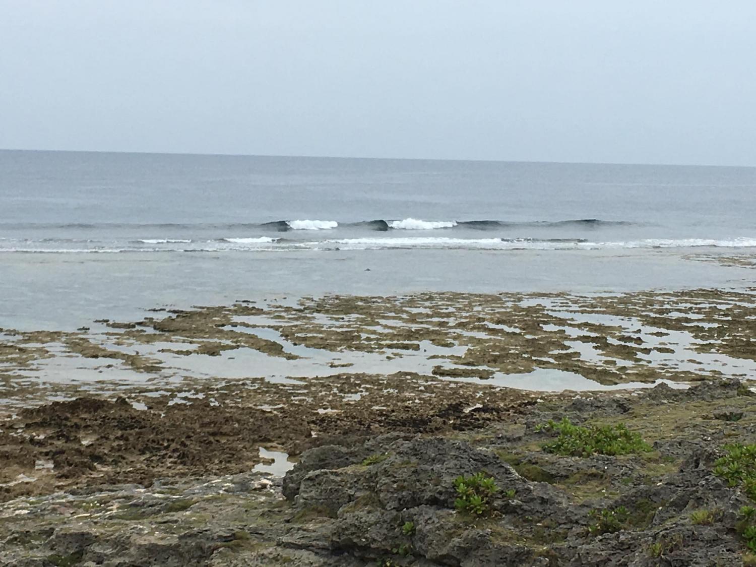 March 10 suicide point wave information 1