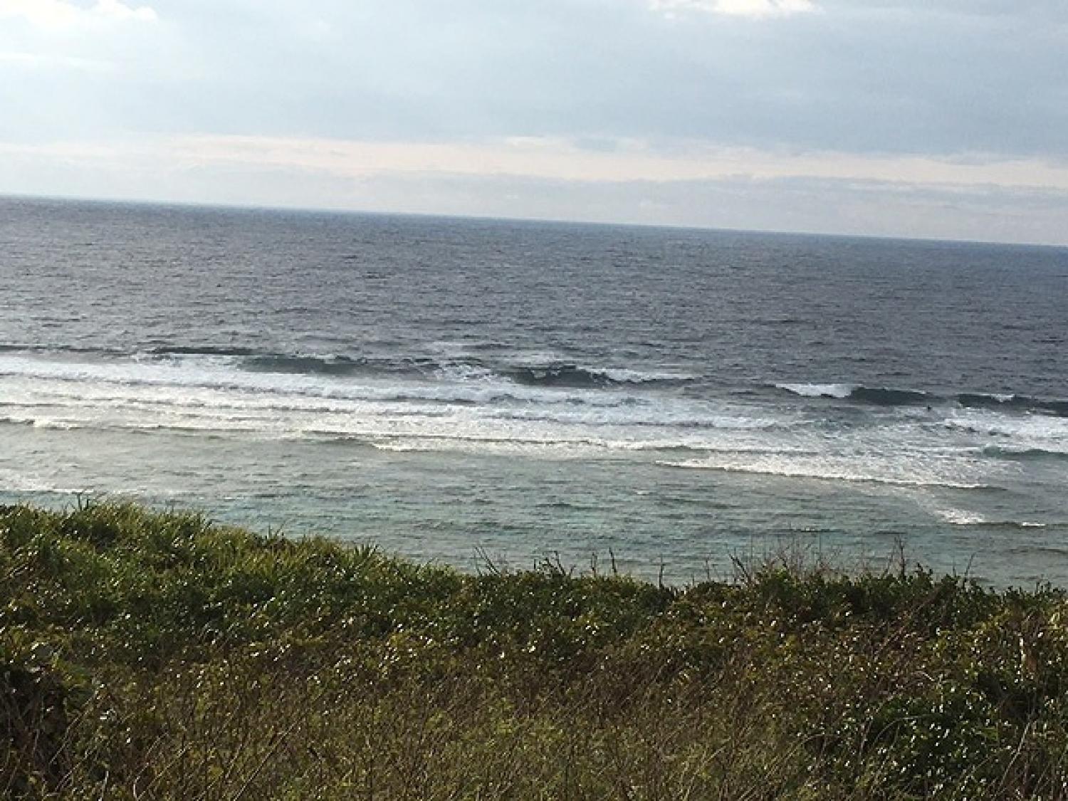 March 12 suicide point wave information 1