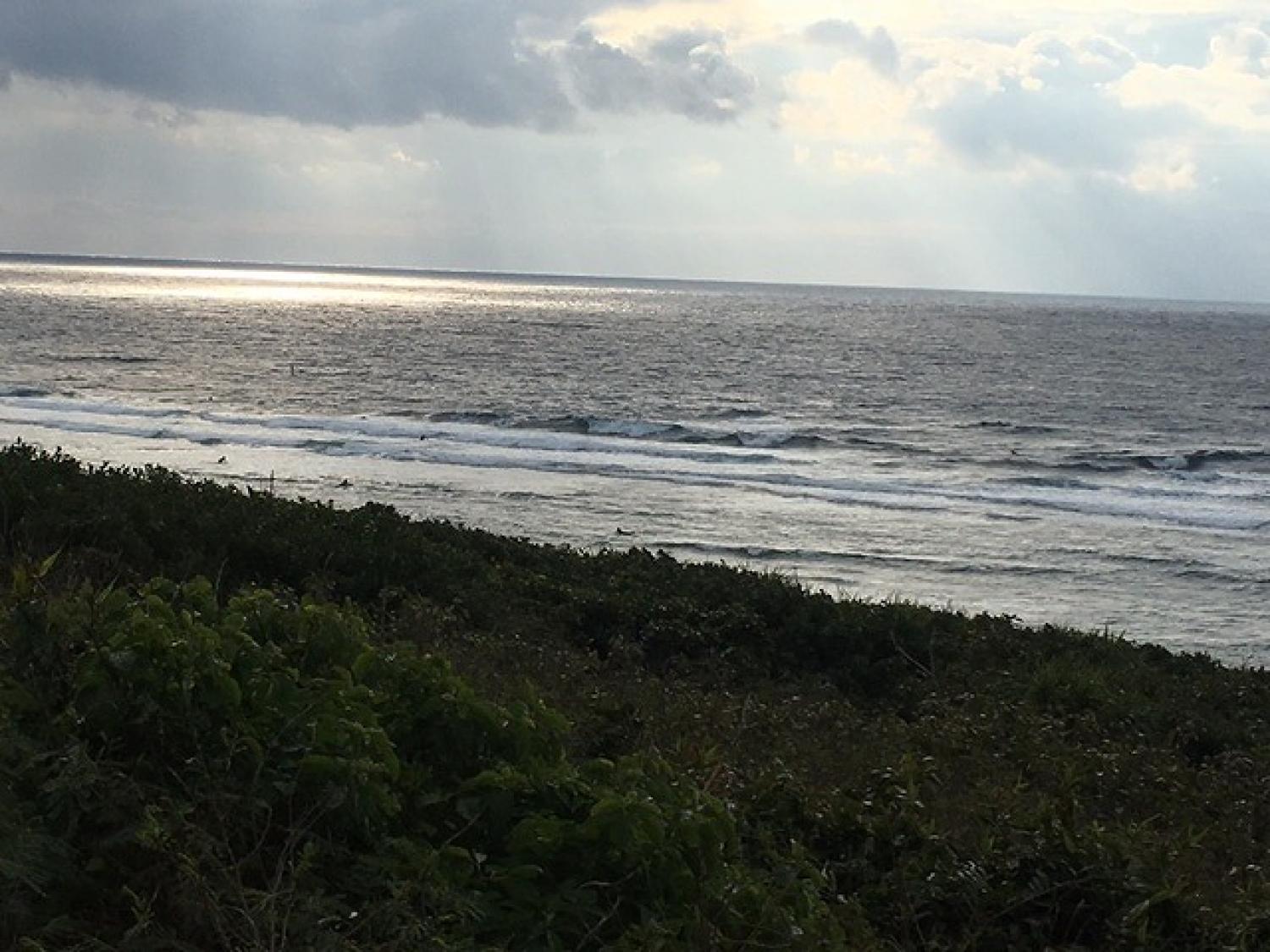 March 12 suicide point wave information 2