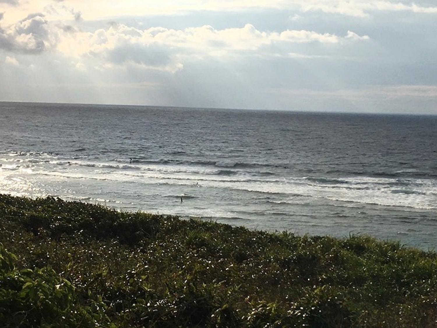 March 12 suicide point wave information 3