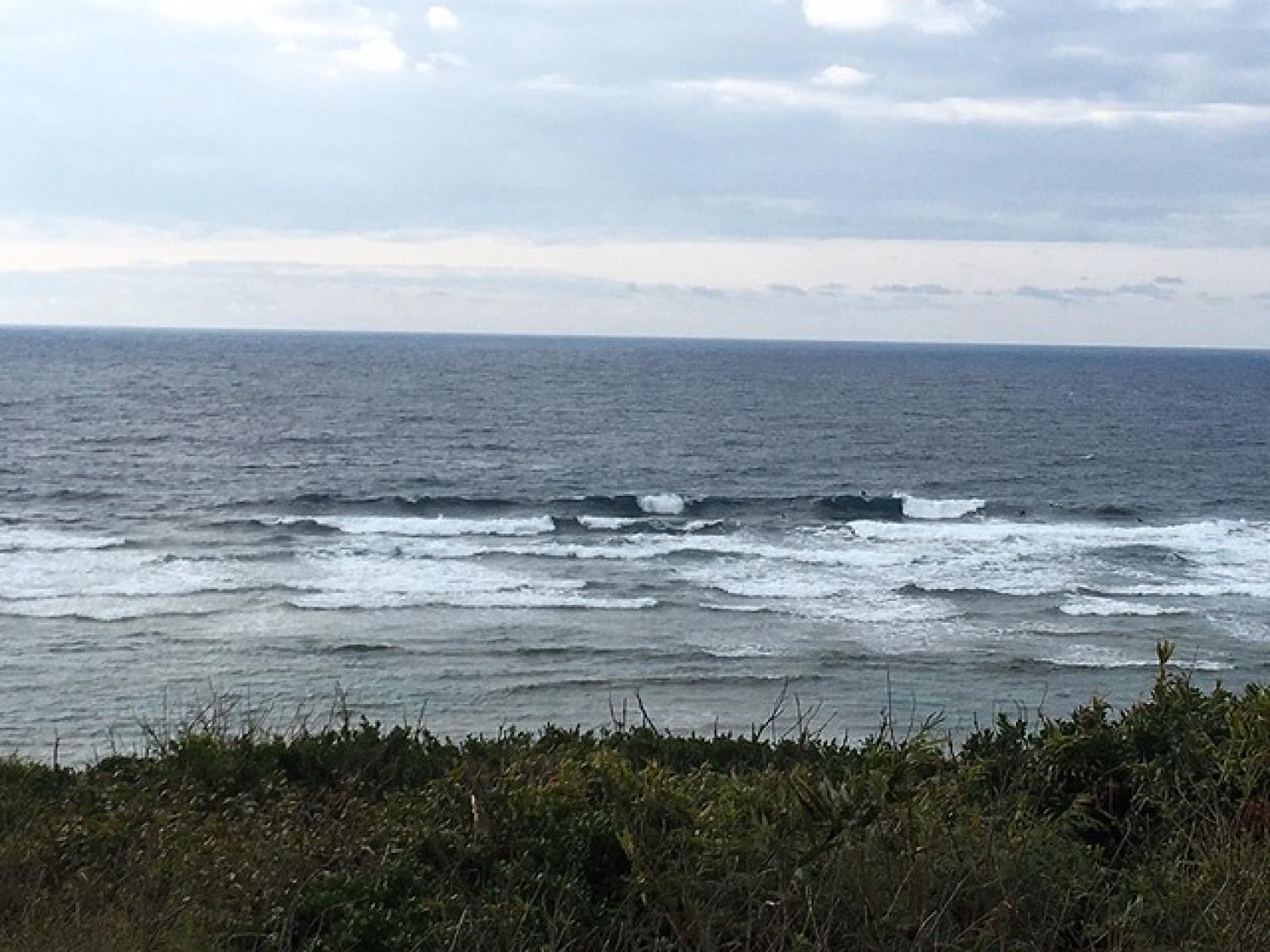 March 12 suicide point wave information 4