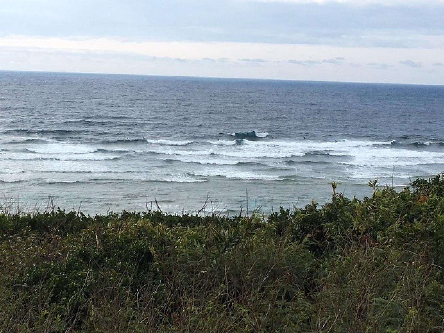 March 12 suicide point wave information 5