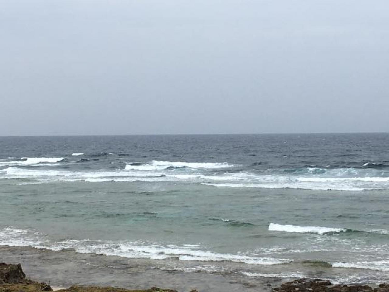 March 13 suicide point wave information 2