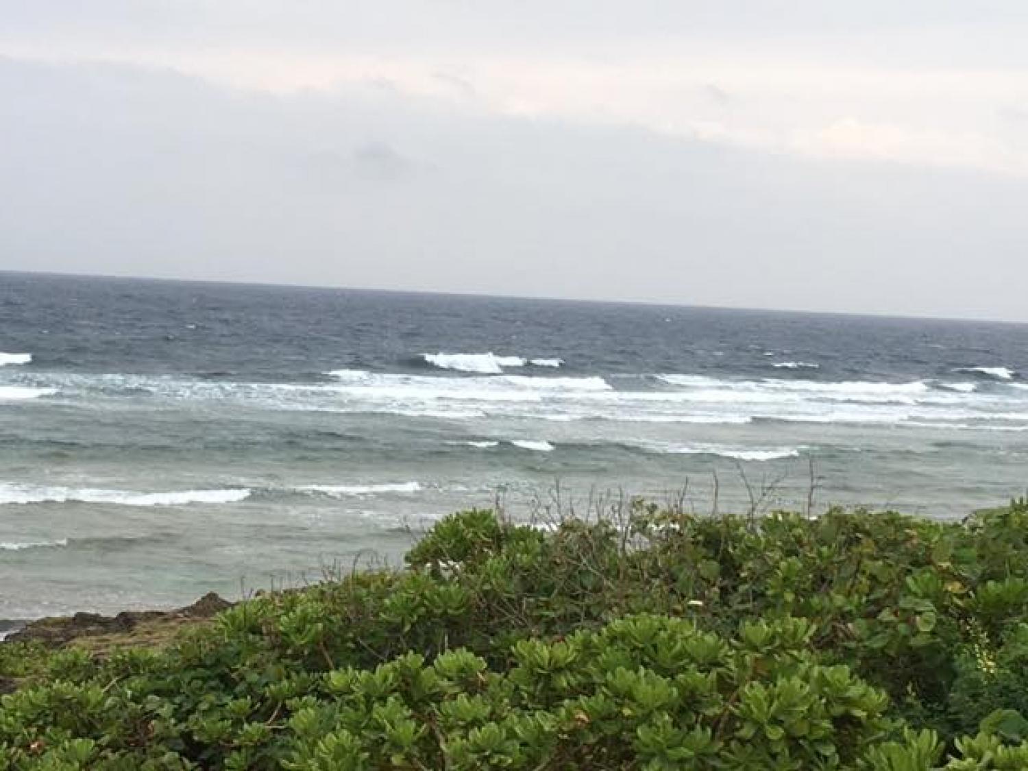 March 13 suicide point wave information 3