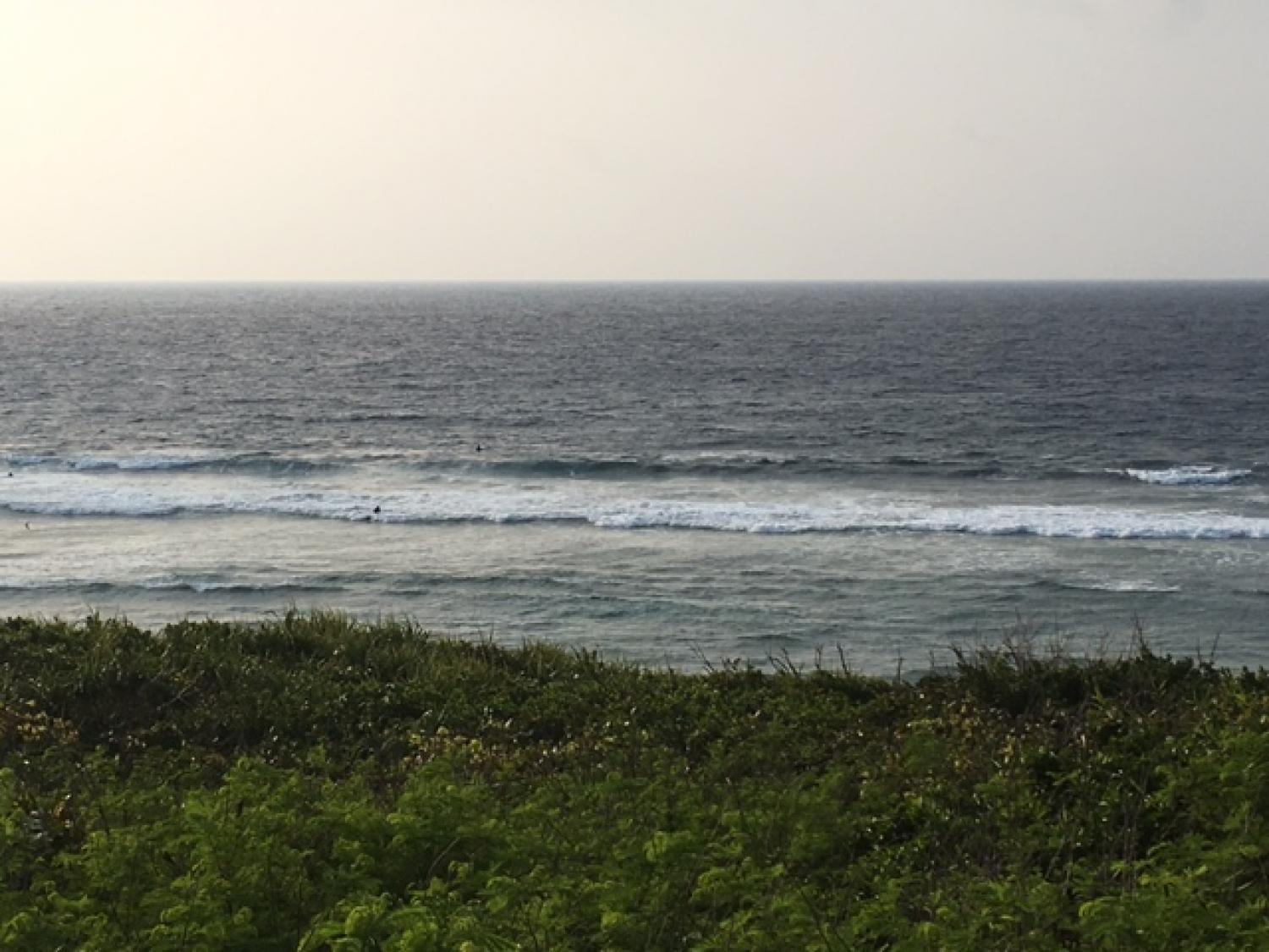March 31 suicide point wave information 1
