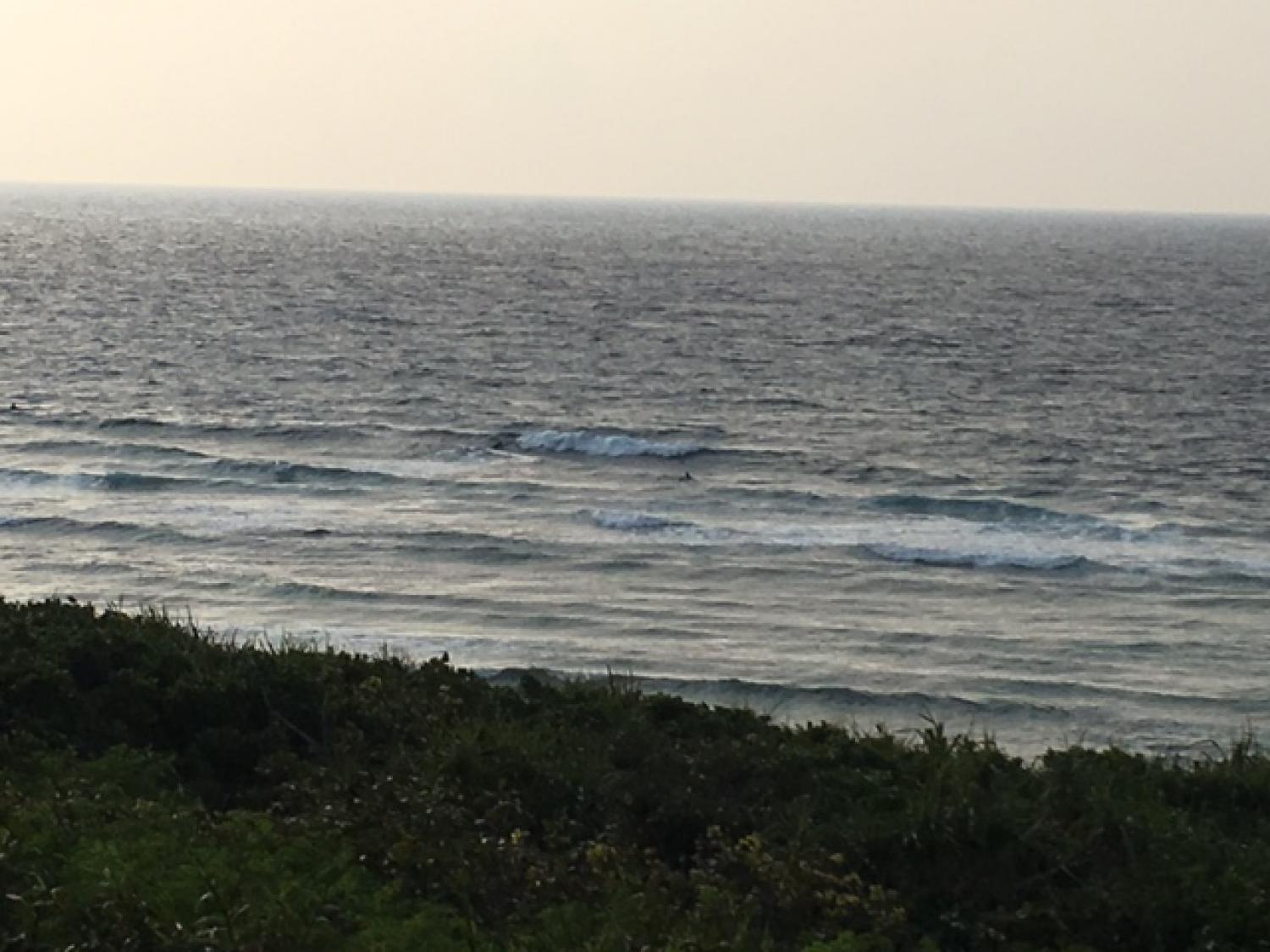 March 31 suicide point wave information 2