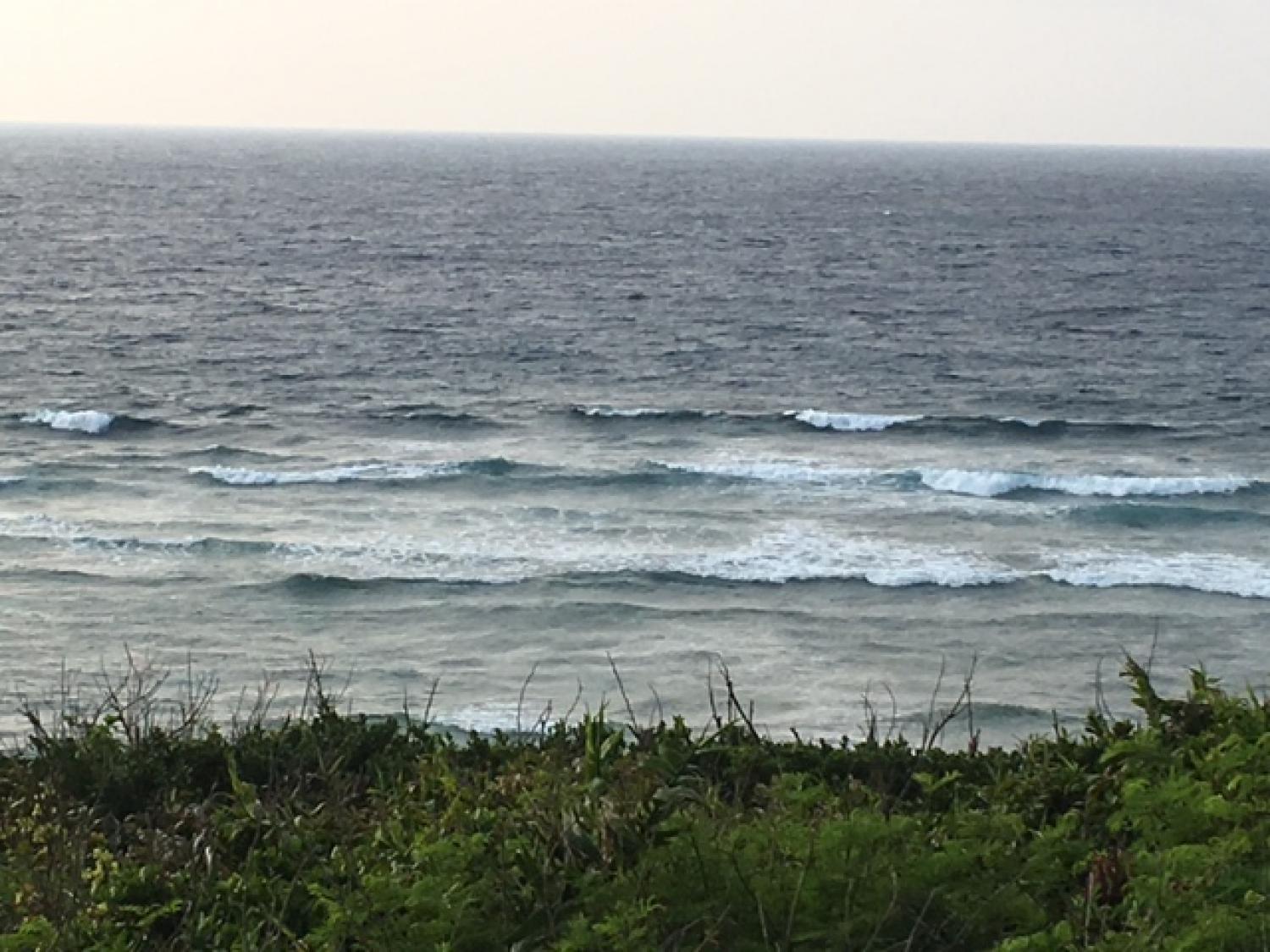 March 31 suicide point wave information 3