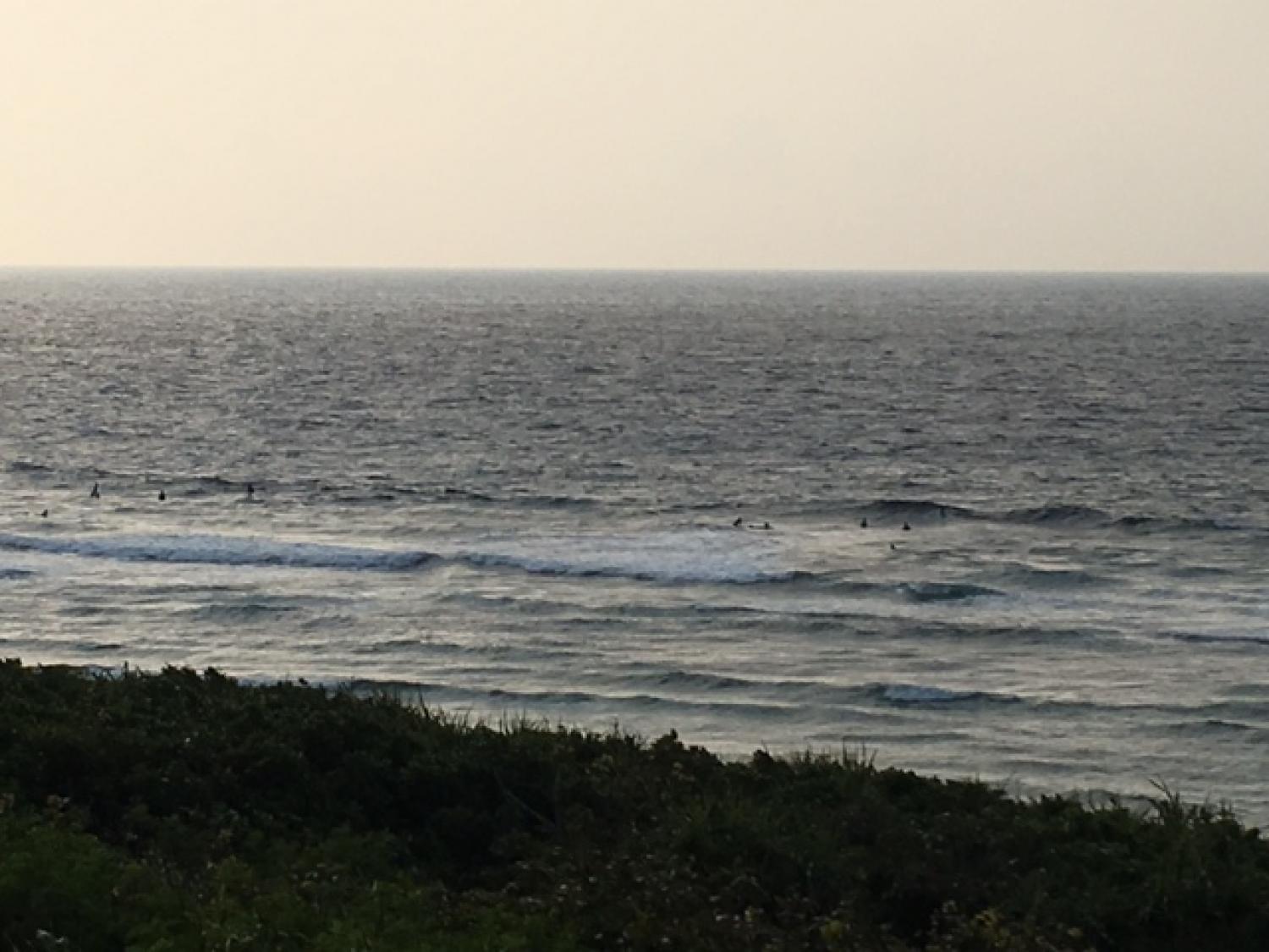 March 31 suicide point wave information 4
