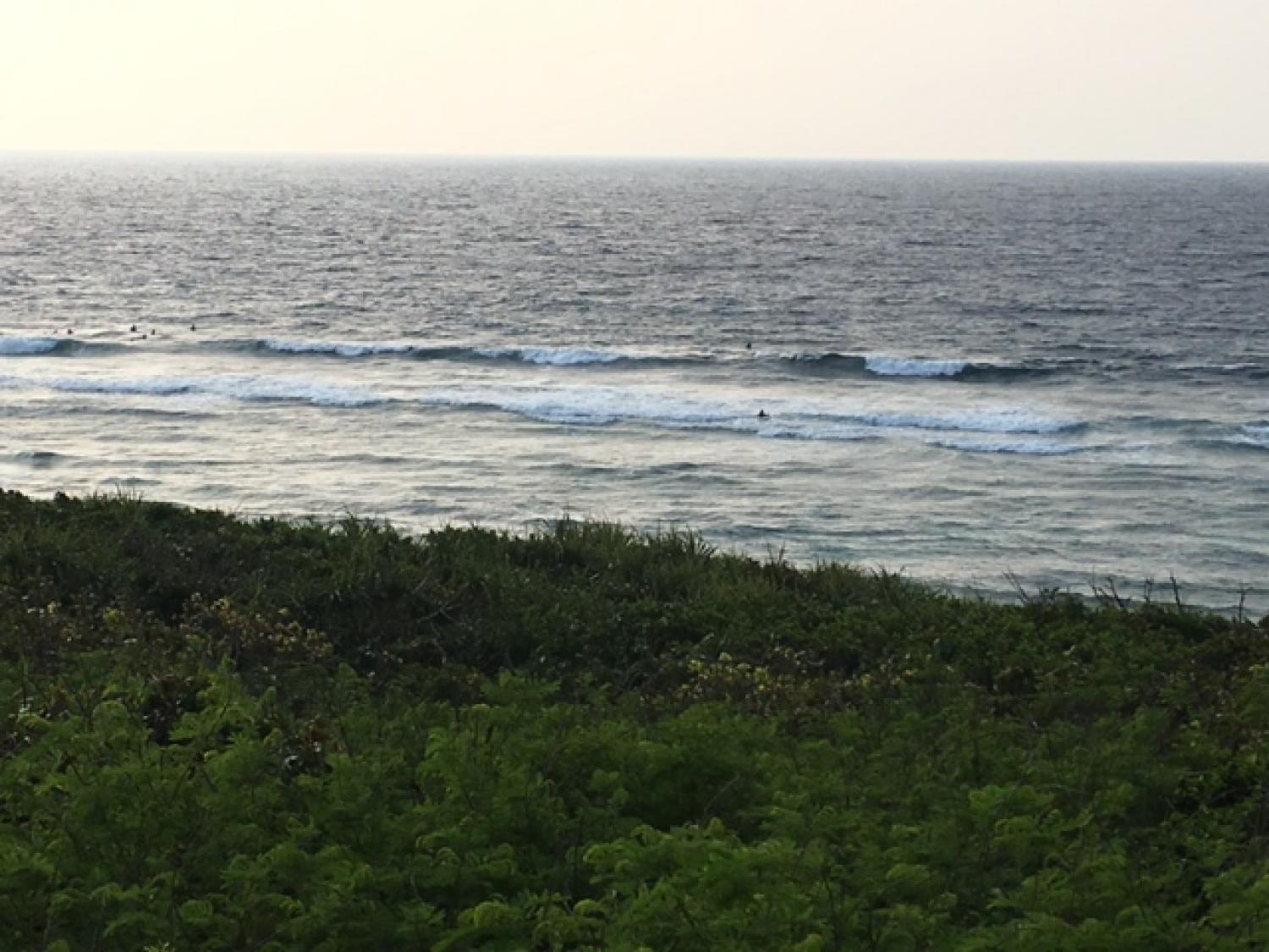 March 31 suicide point wave information 5