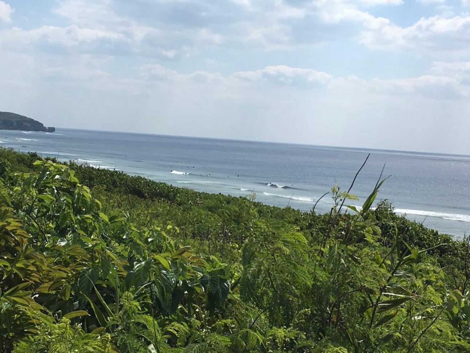 April ２ suicide point wave information 3