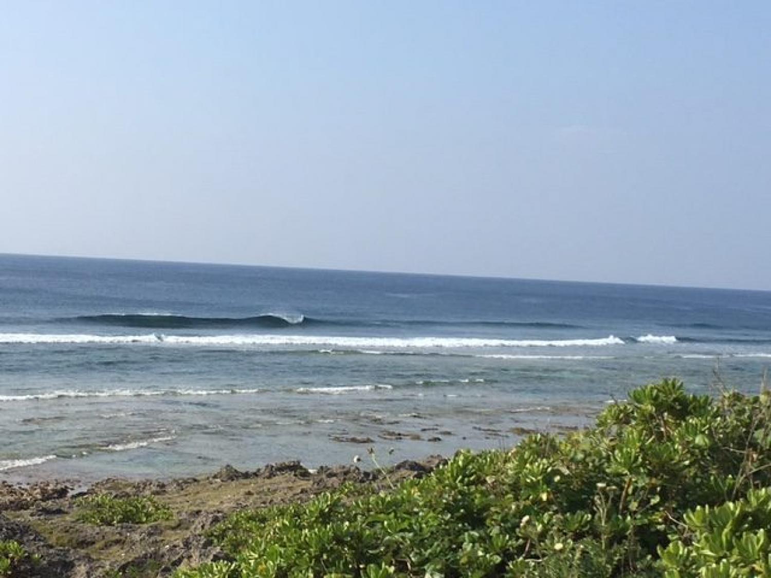 April ３ suicide point wave information 4