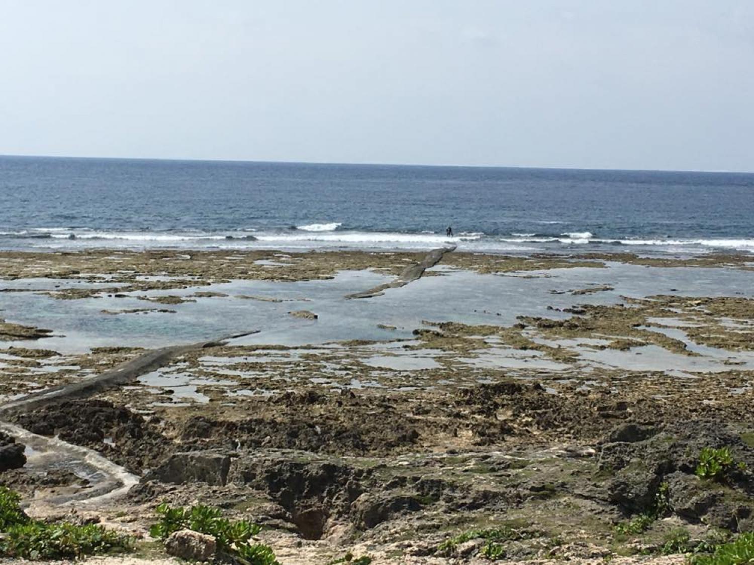 April 24 suicide point wave information 1
