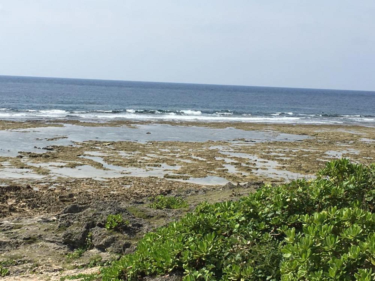 April 24 suicide point wave information 2