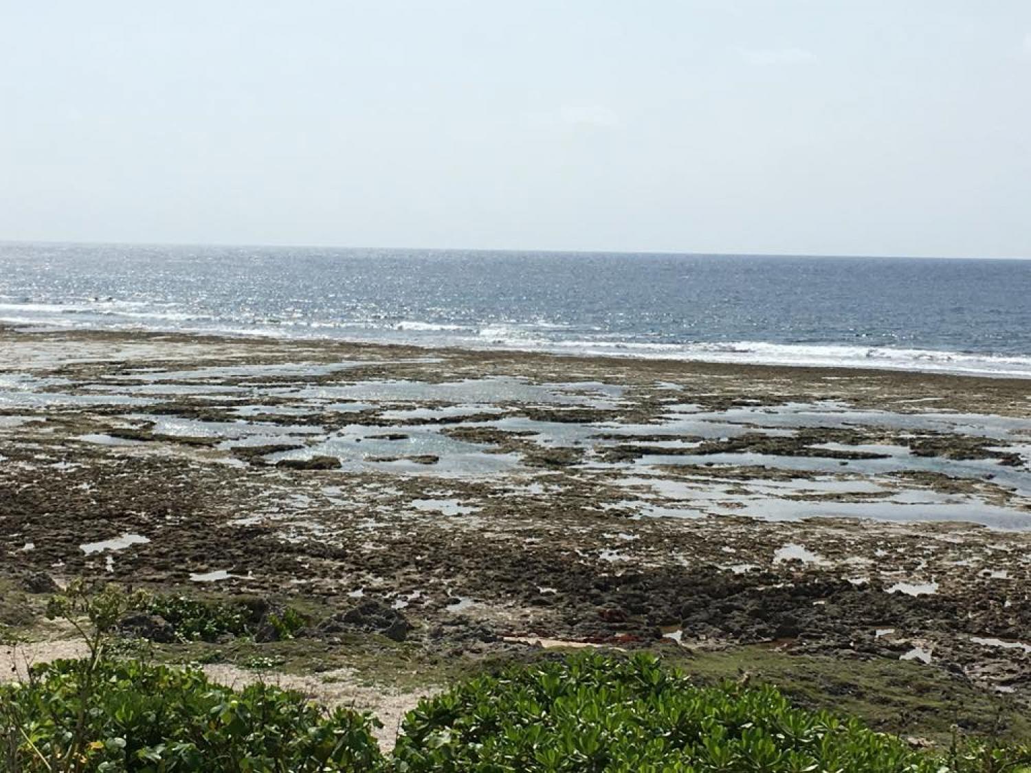 April 24 suicide point wave information 3