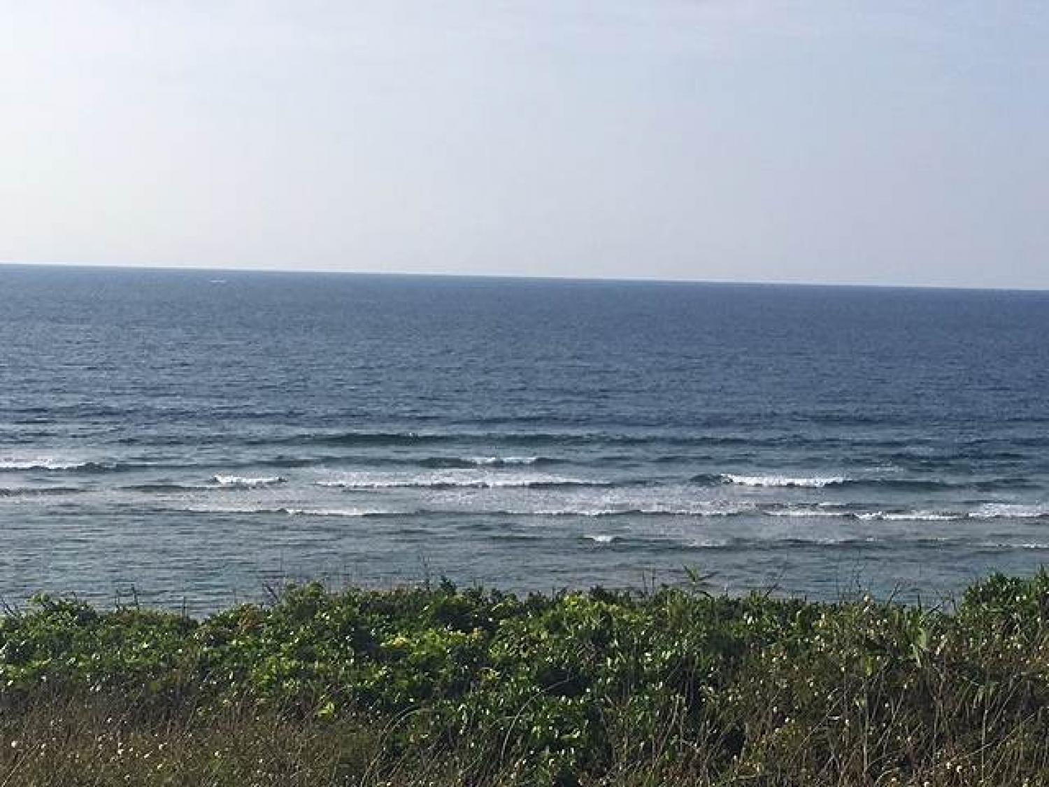 March 1 suicide point wave information 1