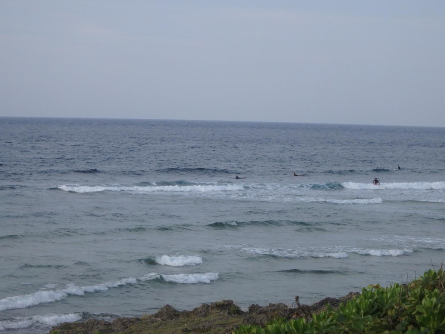 May.11 Suicide Point wave Information 2