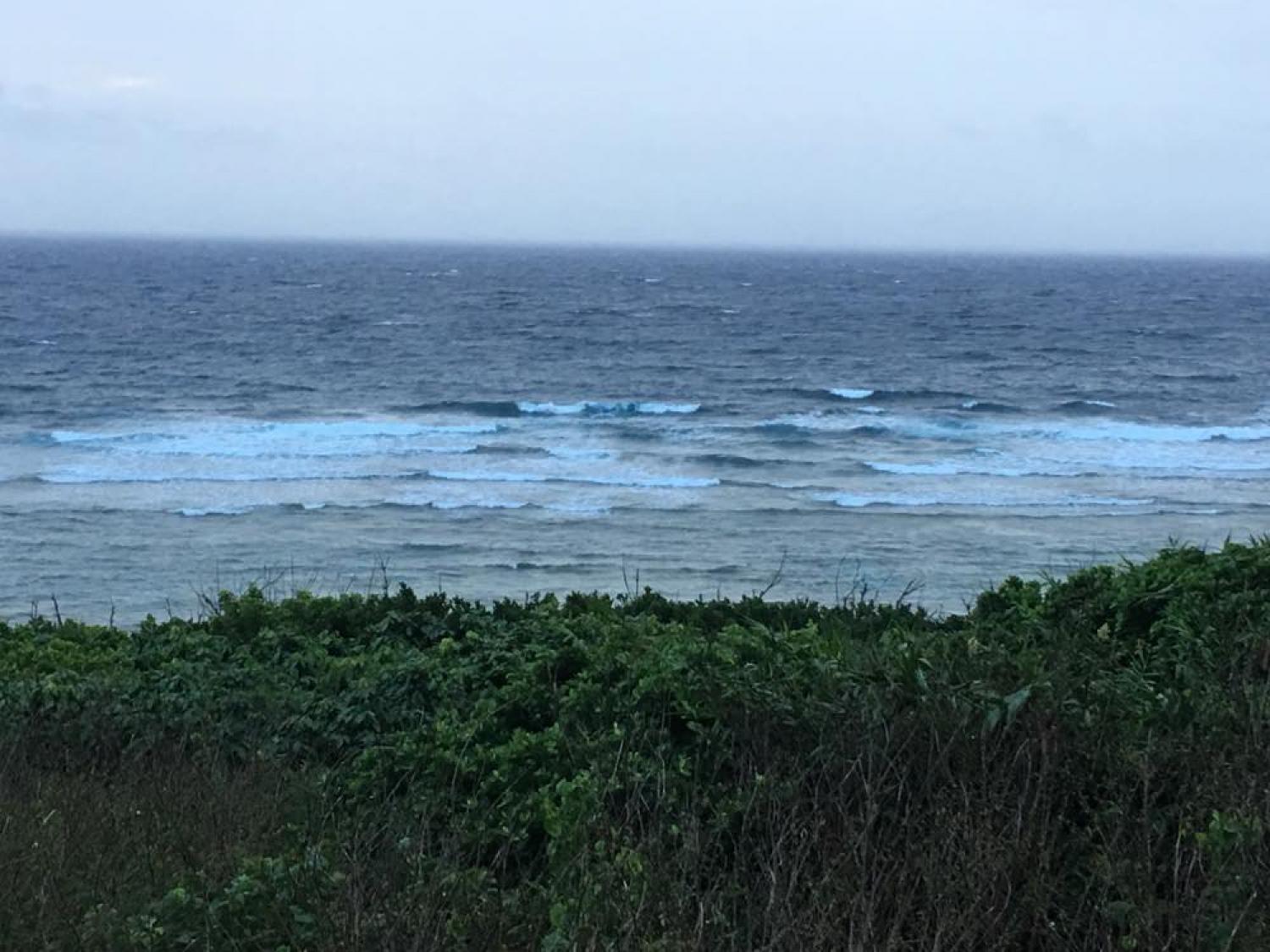 May 14 suicide point wave information 4