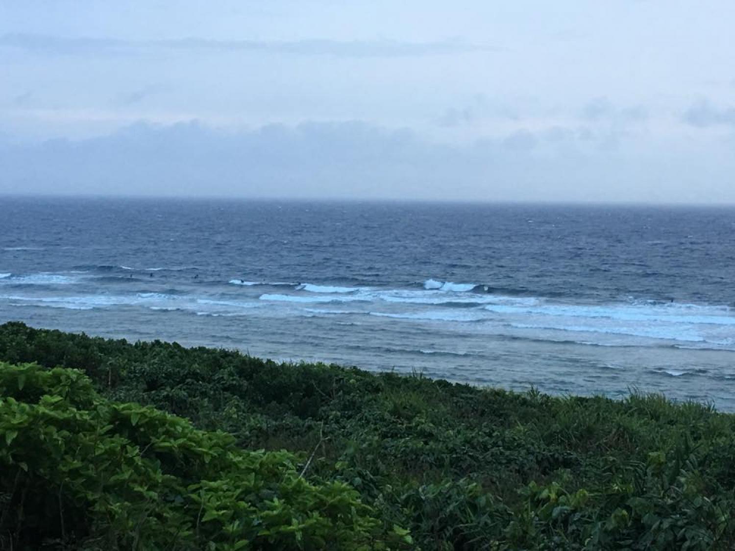 May 14 suicide point wave information 5