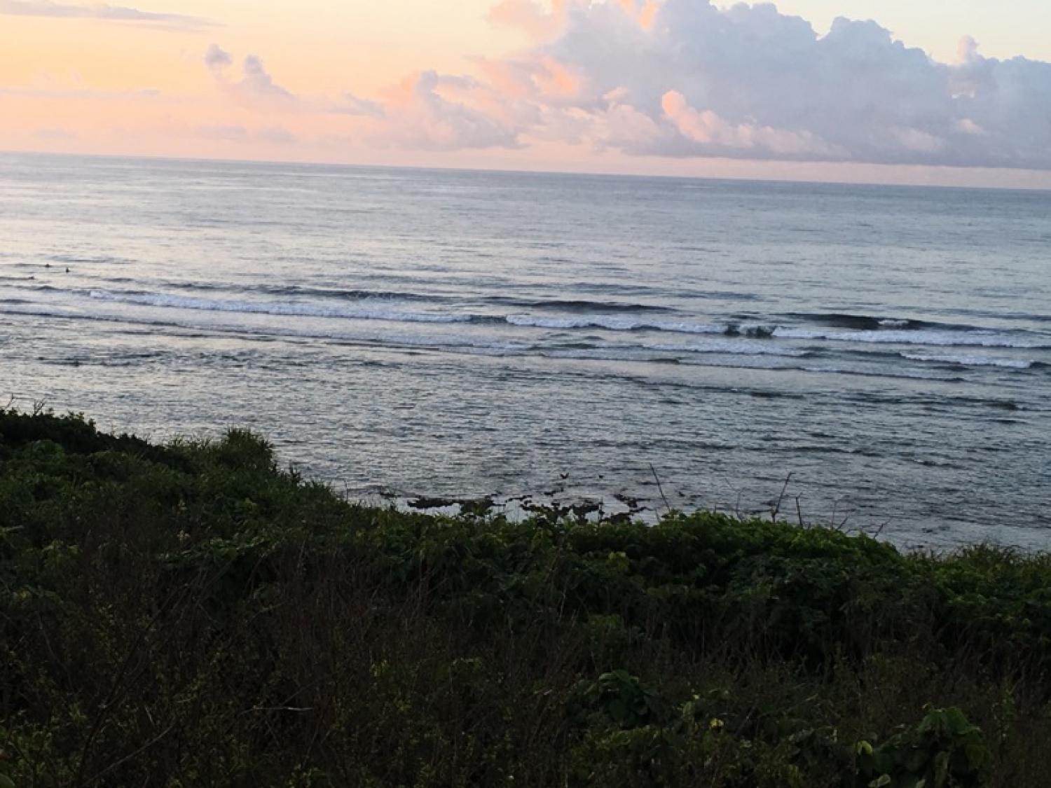 May 15 suicide point wave information 1