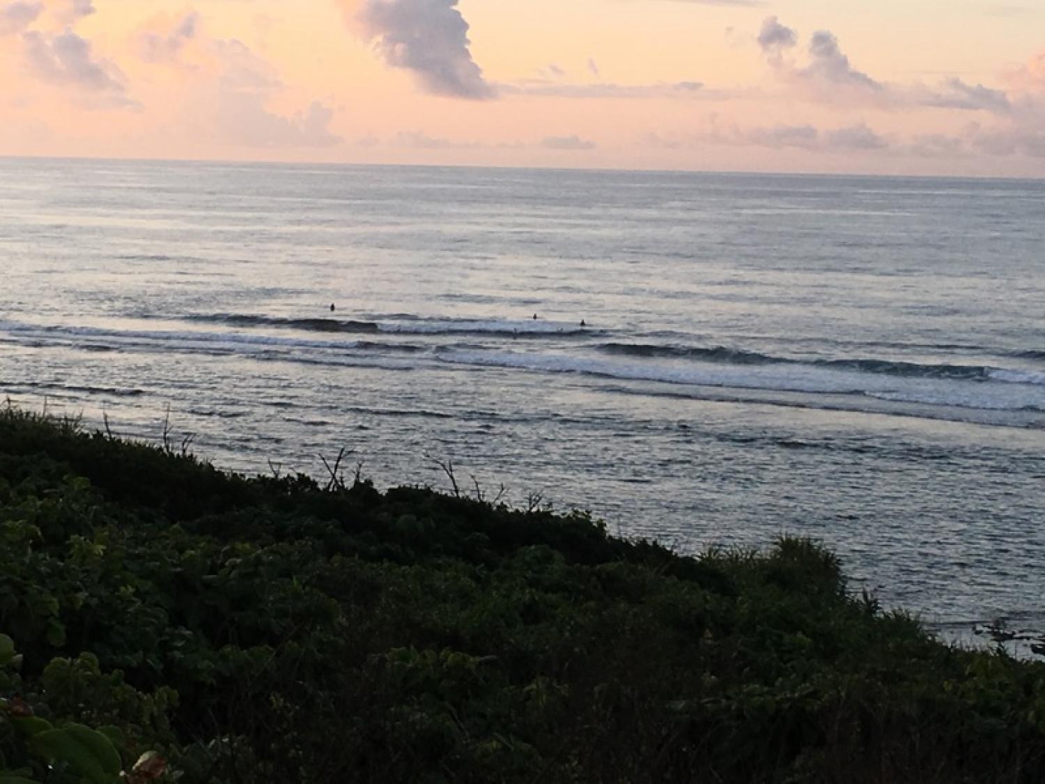 May 15 suicide point wave information 3