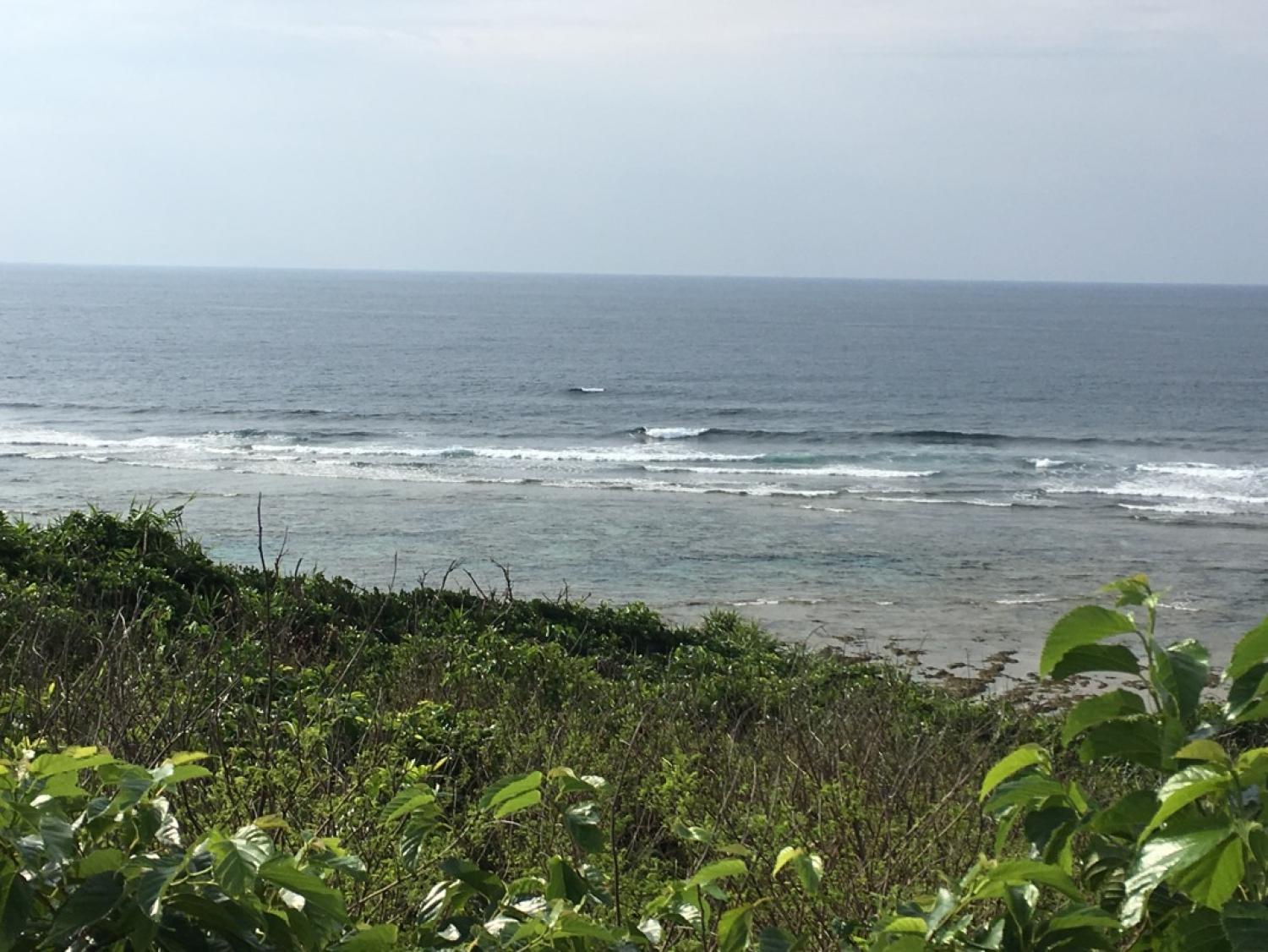 May 18 suicide point wave information 3
