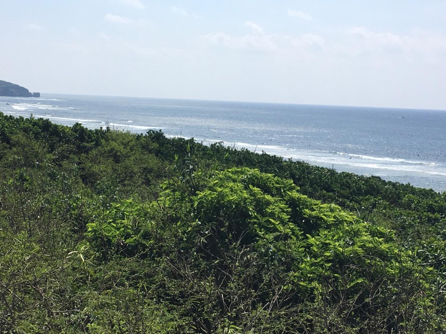 May 19 suicide point wave information 1
